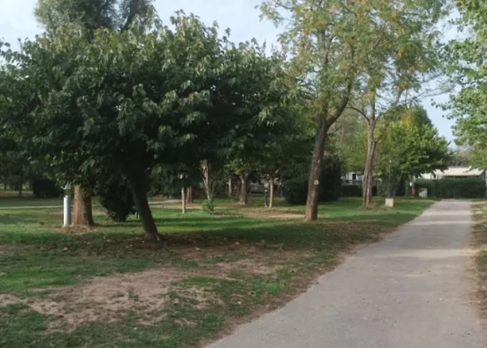 Campsite Mobil Sur Pilotis - Terrasse - Api-1-52-1058