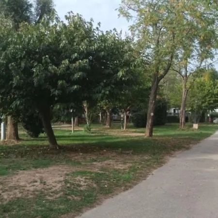 Campingplatz Mobil Sur Pilotis - Terrasse - Api-1-52-1058